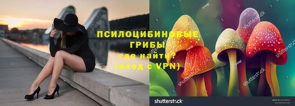 тгк Сосновка