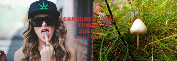 герыч Сосновый Бор